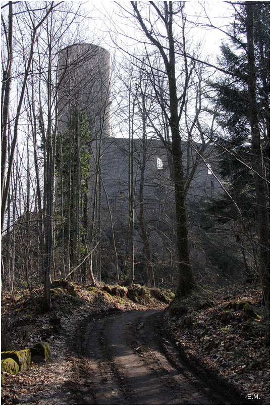 Andlau 6574