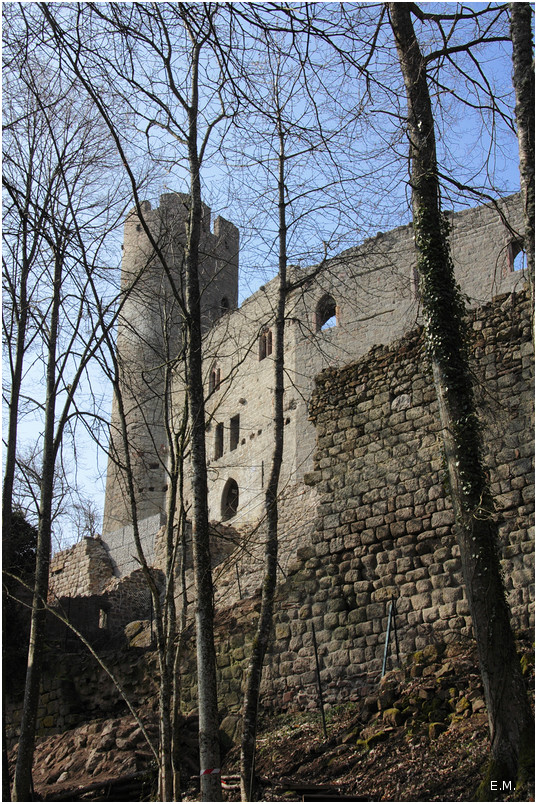Andlau 6596