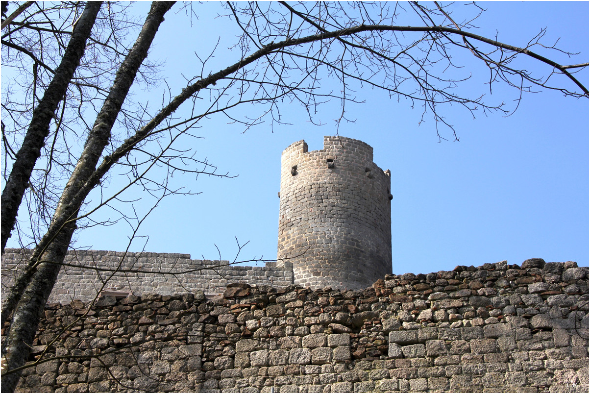 Andlau 6597