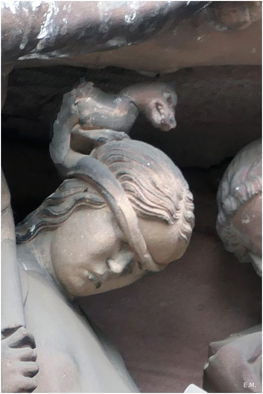 Détail