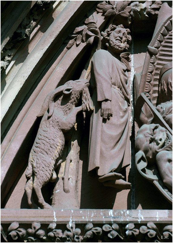 Détail