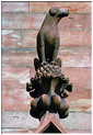 Animal perch  n5