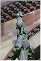 Animal perch  n8