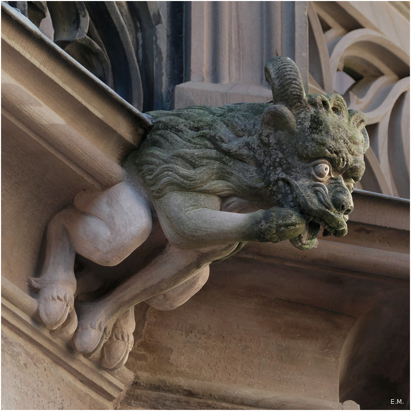 Goetz n2 gauche++