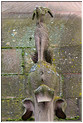 Animal perch n2+